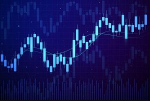 Read more about the article Grey Label vs White Label Forex: Key Differences and Choosing the Right Solution